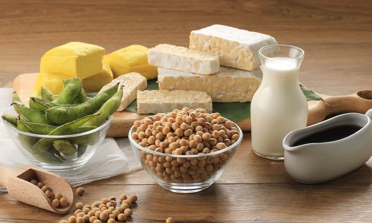 Selain Ayam, Ini 7 Sumber Protein Murah yang Cocok untuk Anak Kos