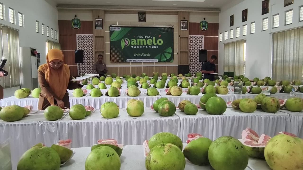 Pamelo Magetan, Identitas Daerah yang Terus Dijaga