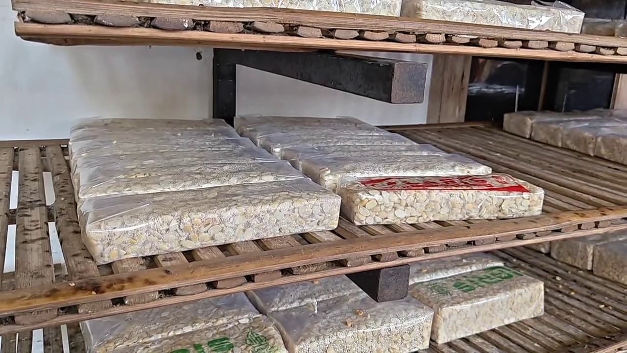 Perdagum Dorong Pengrajin Tempe Gunakan Kedelai Lokal Di Tengah Kenaikan Harga Kedelai Impor