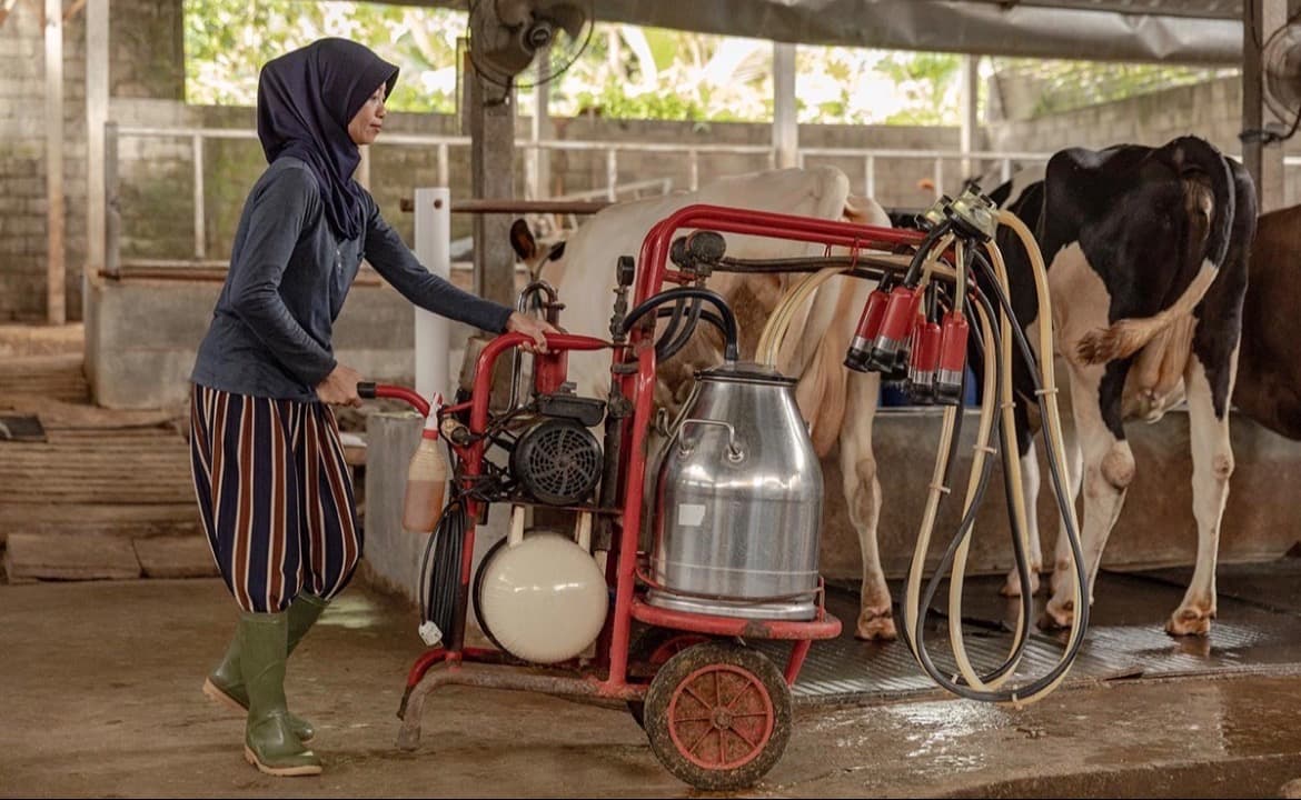 Dari Peternakan Lokal untuk Indonesia: Nestlé Indonesia Membangun Daerah Bersama Peternak Sapi Perah