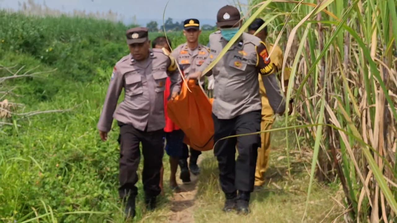 Hilang Lima Hari, Nenek di Tulungagung Ditemukan Meninggal di Tengah Kebun Tebu
