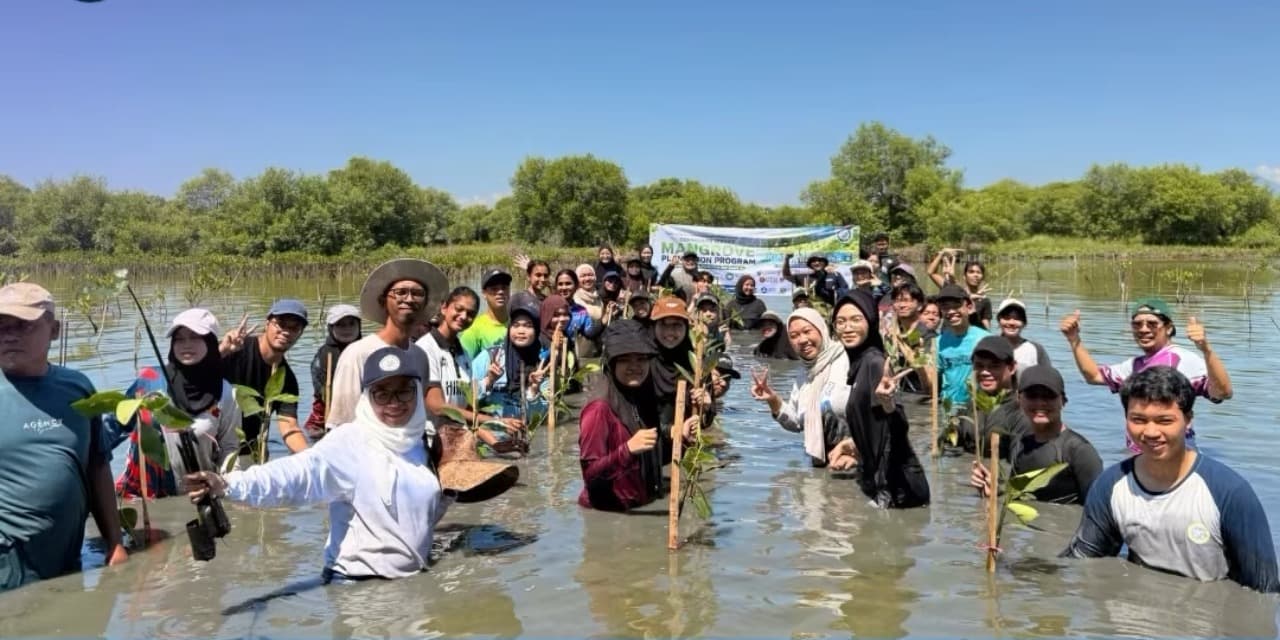 FPK Unair Gandeng Mahasiswa Internasional Tanam Mangrove di Pesisir Surabaya