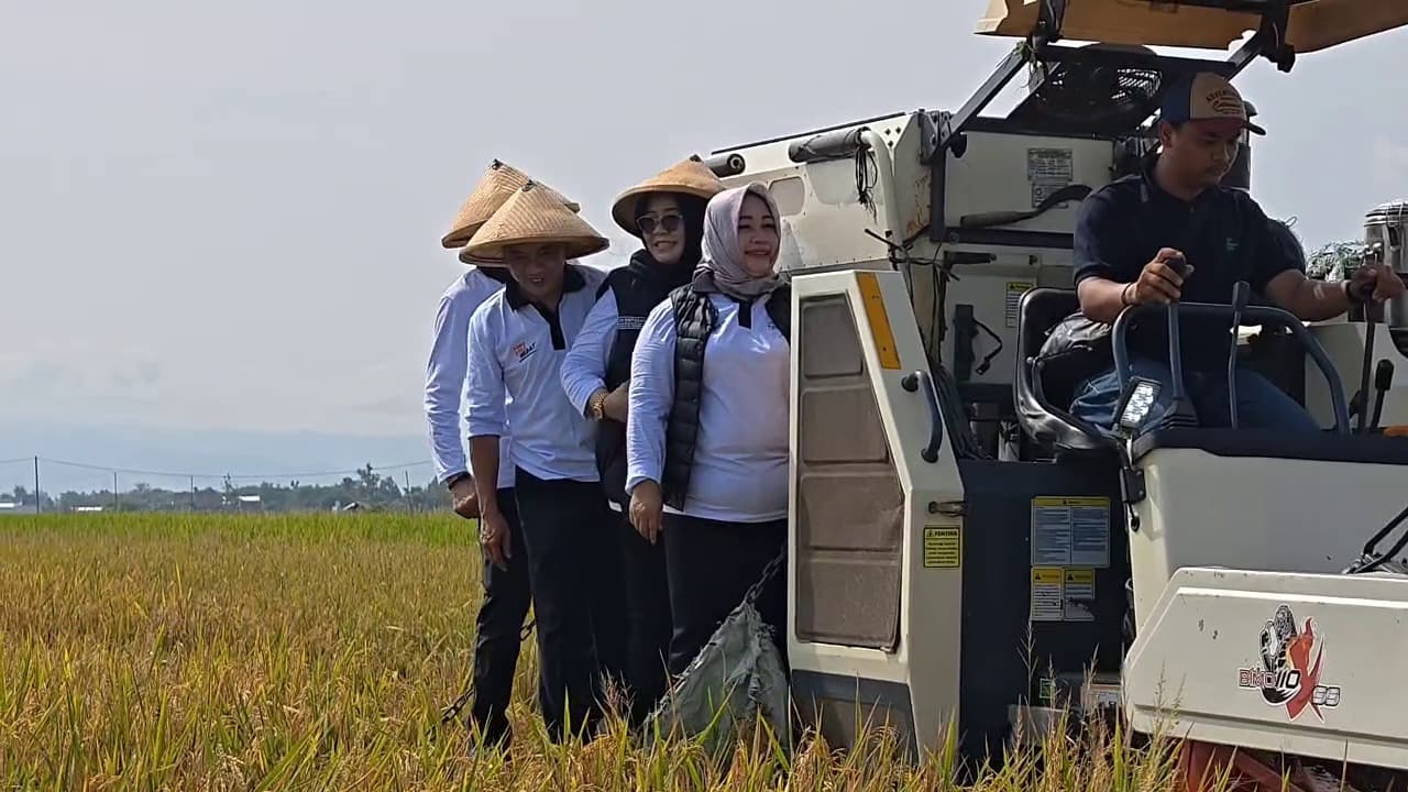 Bebas Hama, Harga Gabah Tembus Rp7.700 per Kilo