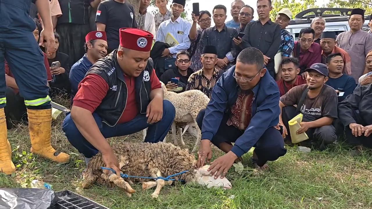 Jelang Idul Adha, Ratusan Jagal Ikuti Pelatihan Juru Sembelih Halal di Ponorogo