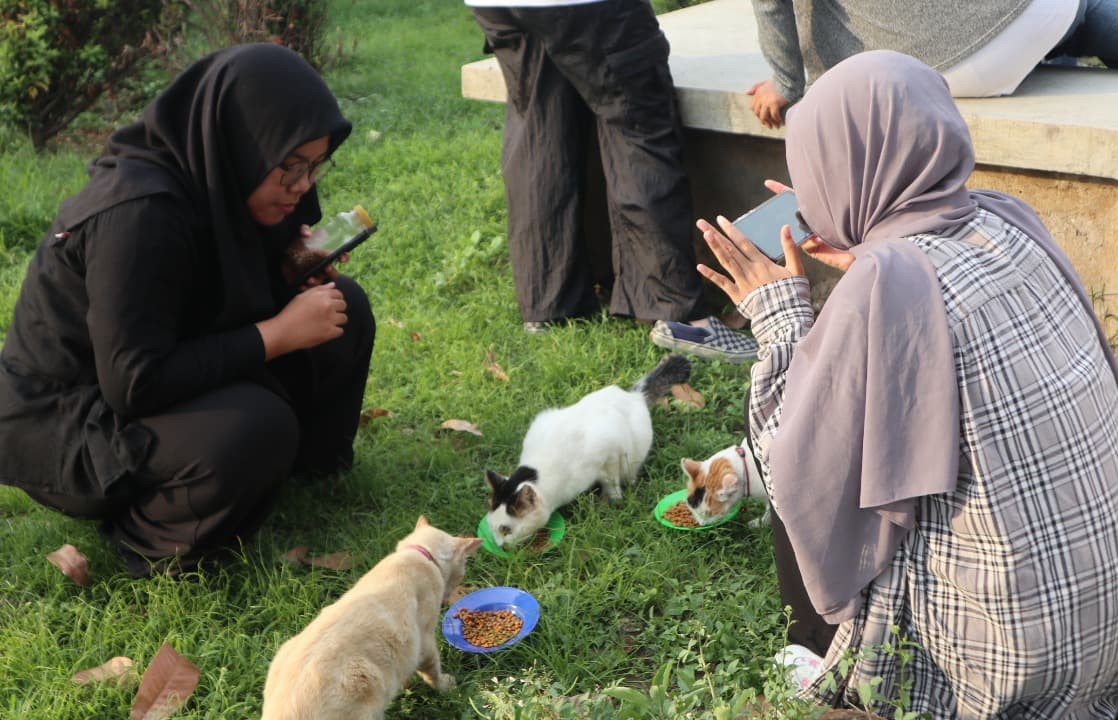 Purrfect Day Out: Aksi Berbagi Kasih Sayang kepada Kucing UNESA Kampus 1 Ketintang