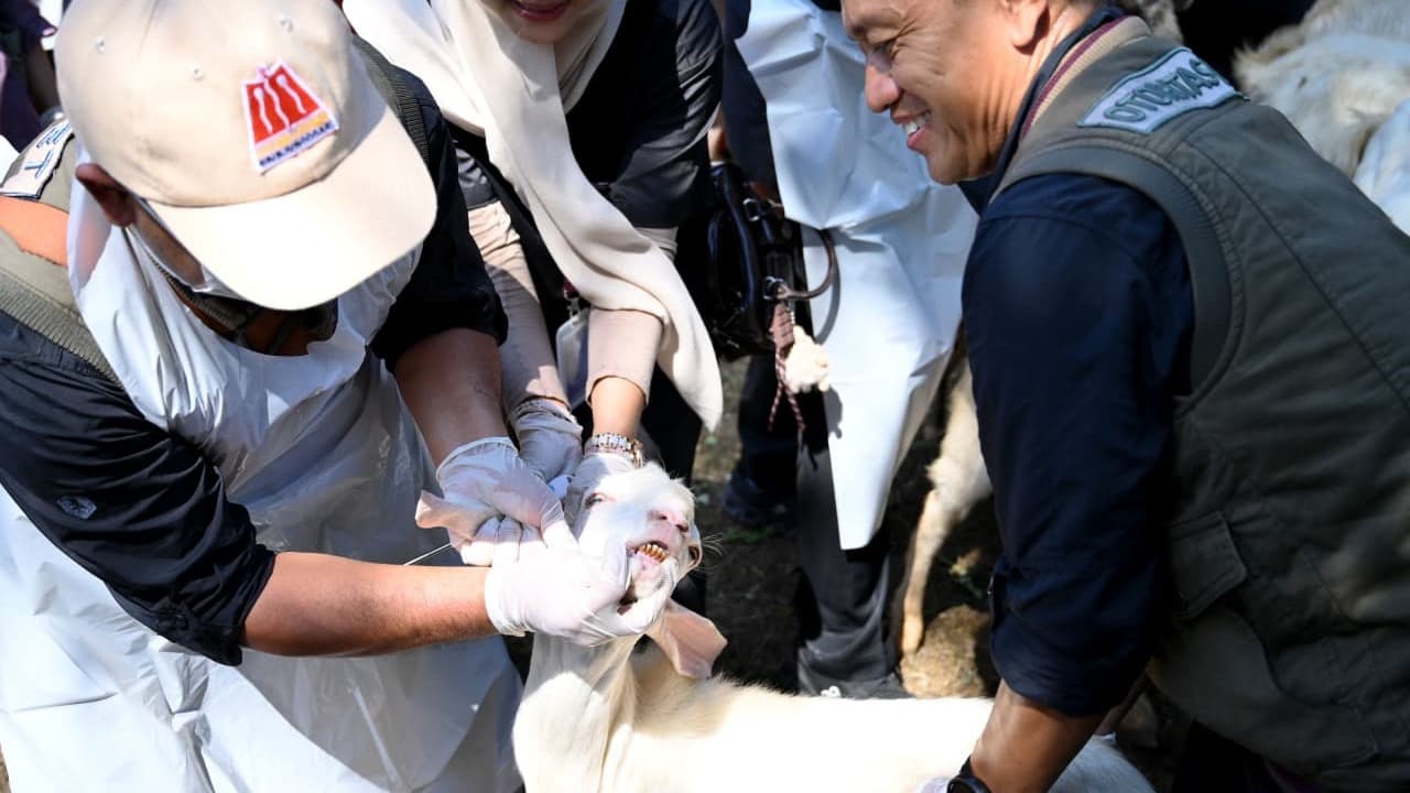 Pastikan Layak saat Idul Adha, Pemkab Banyuwangi Periksa Kesehatan Hewan Kurban