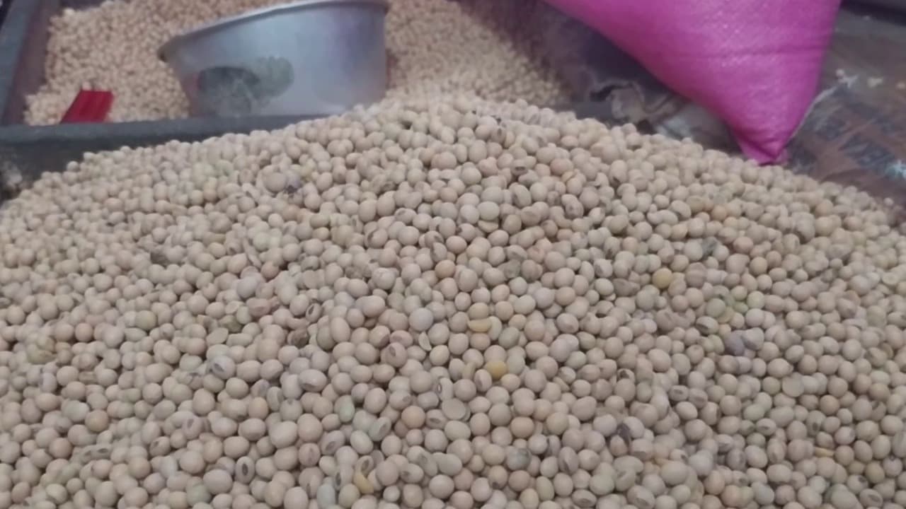 Produksi Kedelai Lokal Turun, Pedagang Beralih ke Kedelai Impor