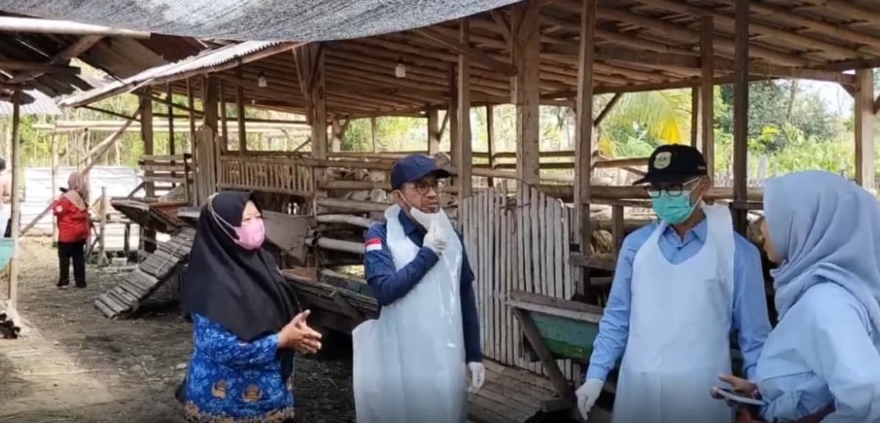Jelang Musim Kurban, Petugas Sidak Lapak Penjualan Hewan, Lapak Aman Diberi Stiker