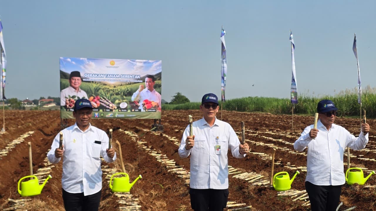 Dukung Hilirisasi Perkebunan Nasional, PT SGN Gelar Program Gerakan Tanam Serentak