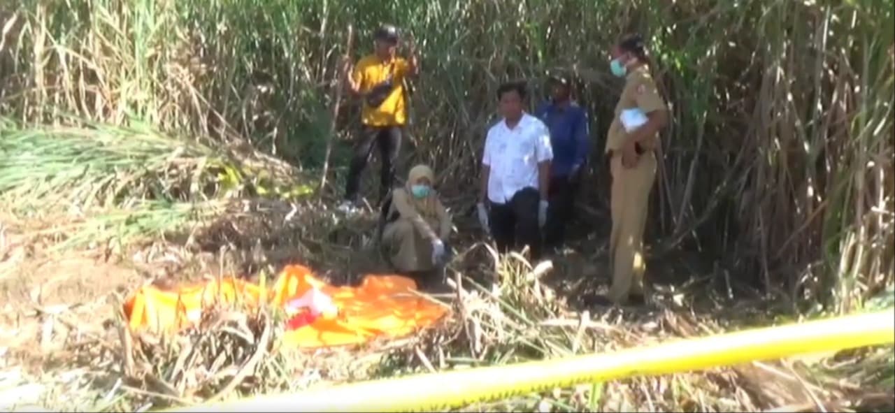 Kerangka Manusia Ditemukan Di Lahan Tebu, Polisi Selidiki Identitas Korban