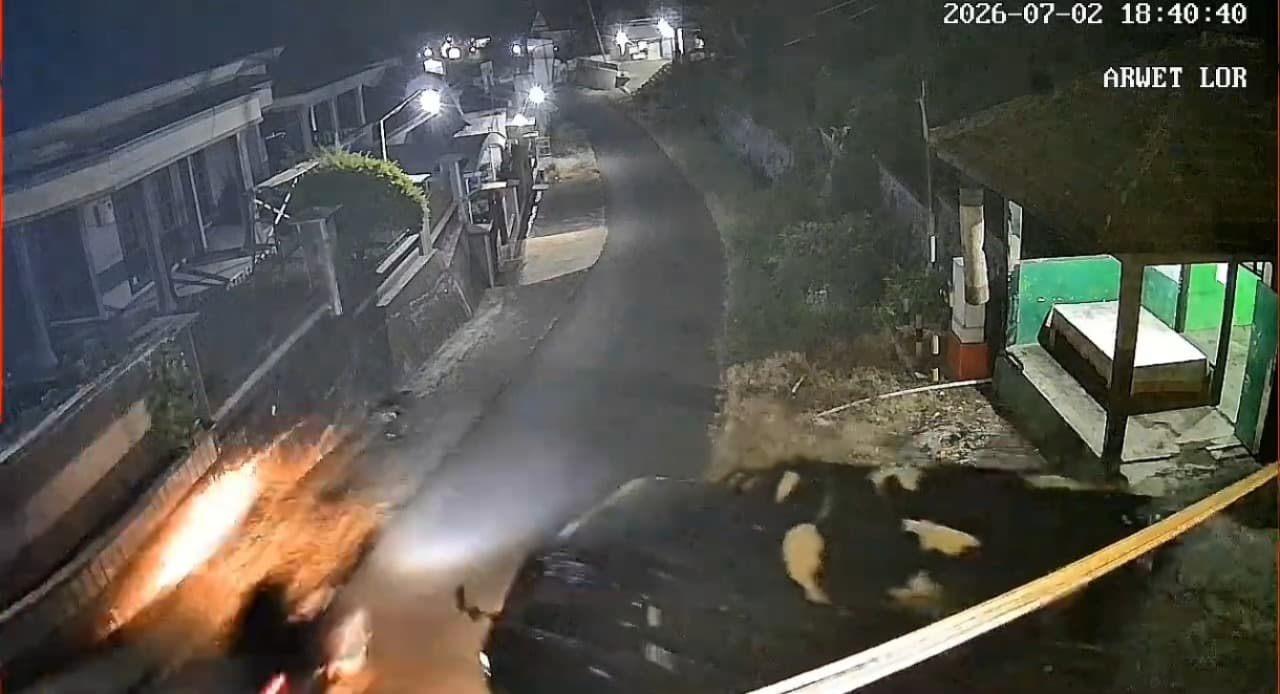 Terekam CCTV! Pikap Misterius Gondol 2 Sapi Senilai Rp 50 Juta di Pasuruan, Warga Resah