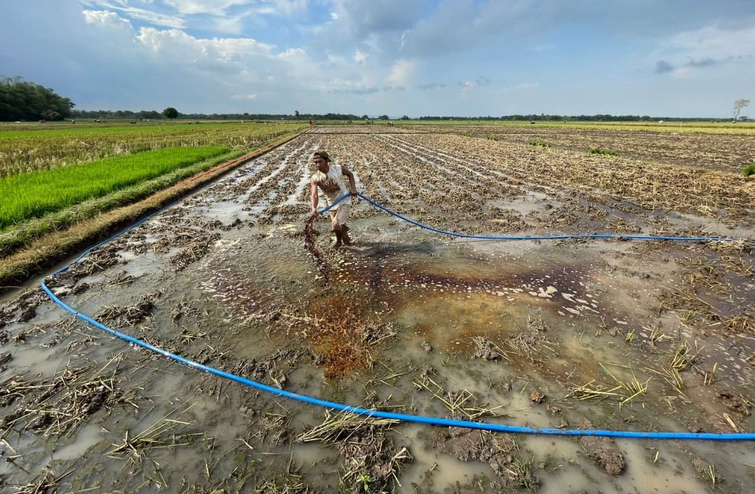 PT Energi Agro Nusantara Bantah Buang Limbah Tetes, Pupuk Hayati ENERO Sudah Berizin