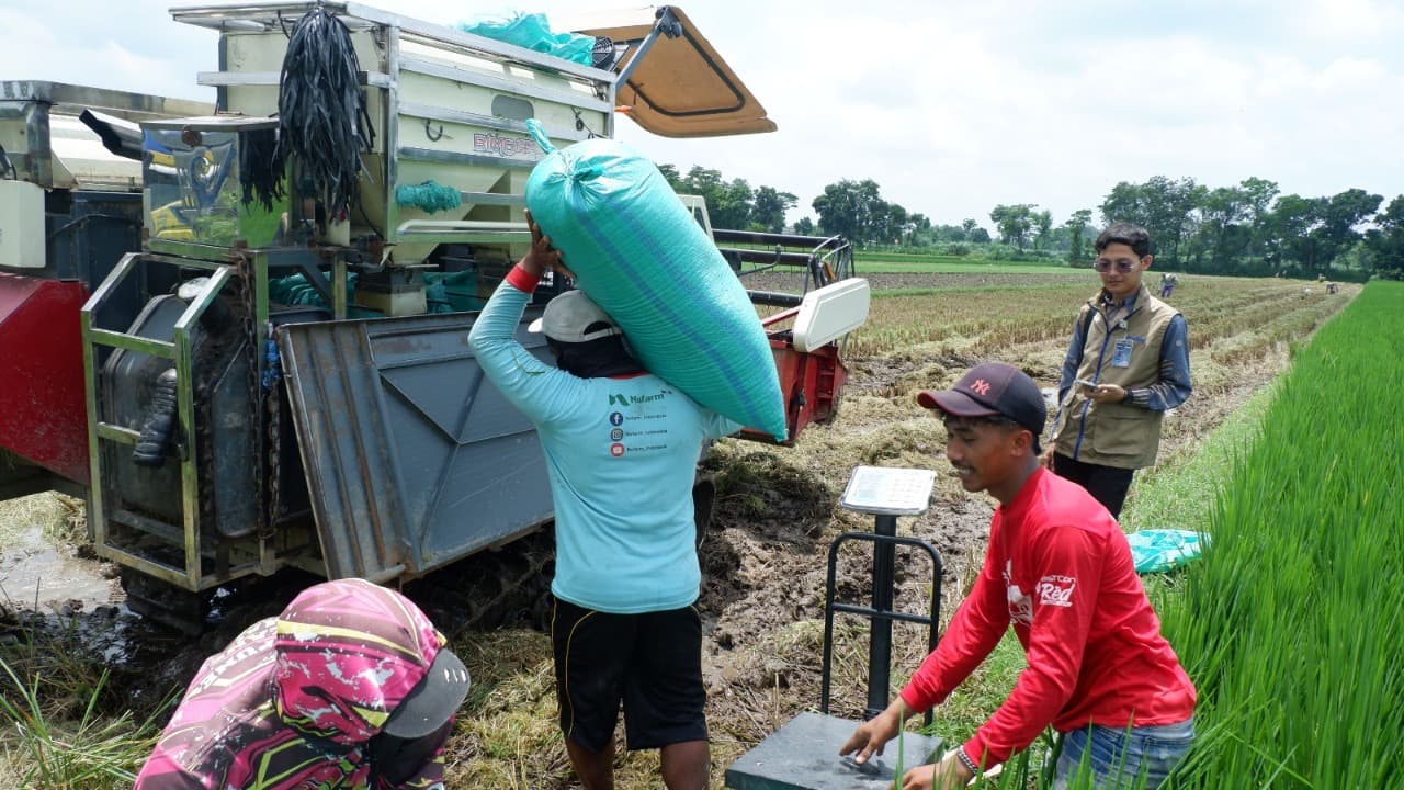 Bulog Kediri Lampaui Target Serapan Gabah, Setara 73.561 Ton Beras