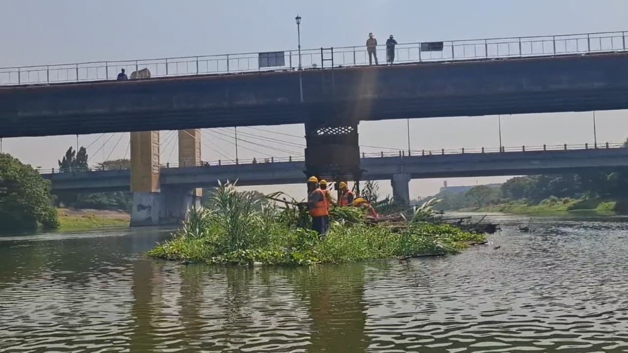 Jembatan Lama Kota Kediri Dibersihkan, Pemkot Antisipasi Kerusakan Akibat Tumpukan Sampah