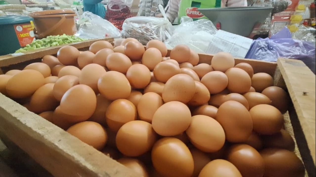 Harga Telur dan Daging Ayam di Ngawi Naik, Pedagang Sebut Dipicu Meningkatnya Permintaan