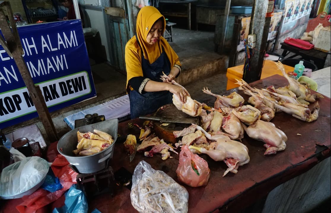 Program MBG Kembali Berjalan, Harga Daging Ayam di Probolinggo Tembus Rp38 Ribu per Kilogram