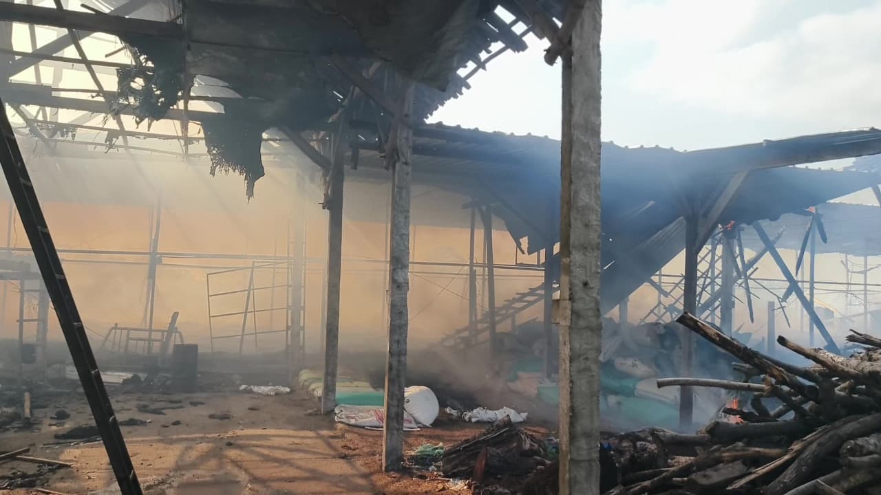 Kandang Ayam Pedaging di Magetan Terbakar, 36 Ribu Ekor Ayam Mati dan Kerugian Capai Rp3 Miliar