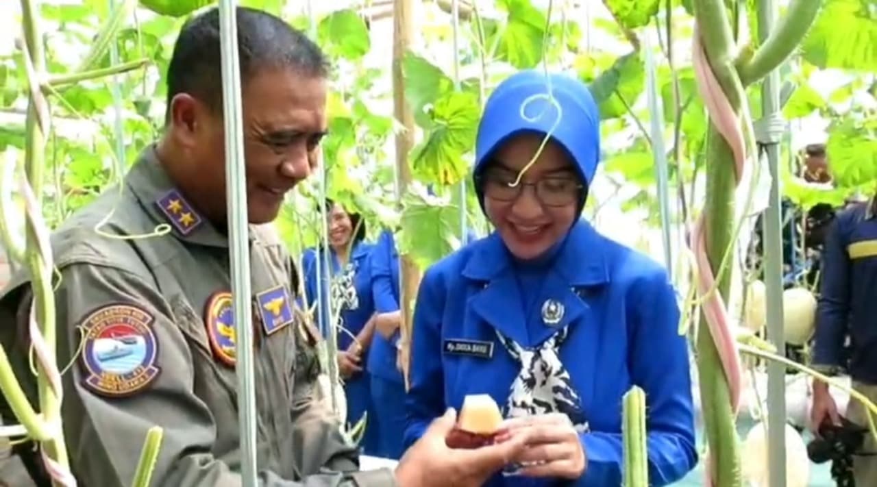 Puspenerbal Juanda Sulap Lahan Terbengkalai Jadi Kebun Melon Hidroponik, Panen Perdana Tembus 1,5 Ton