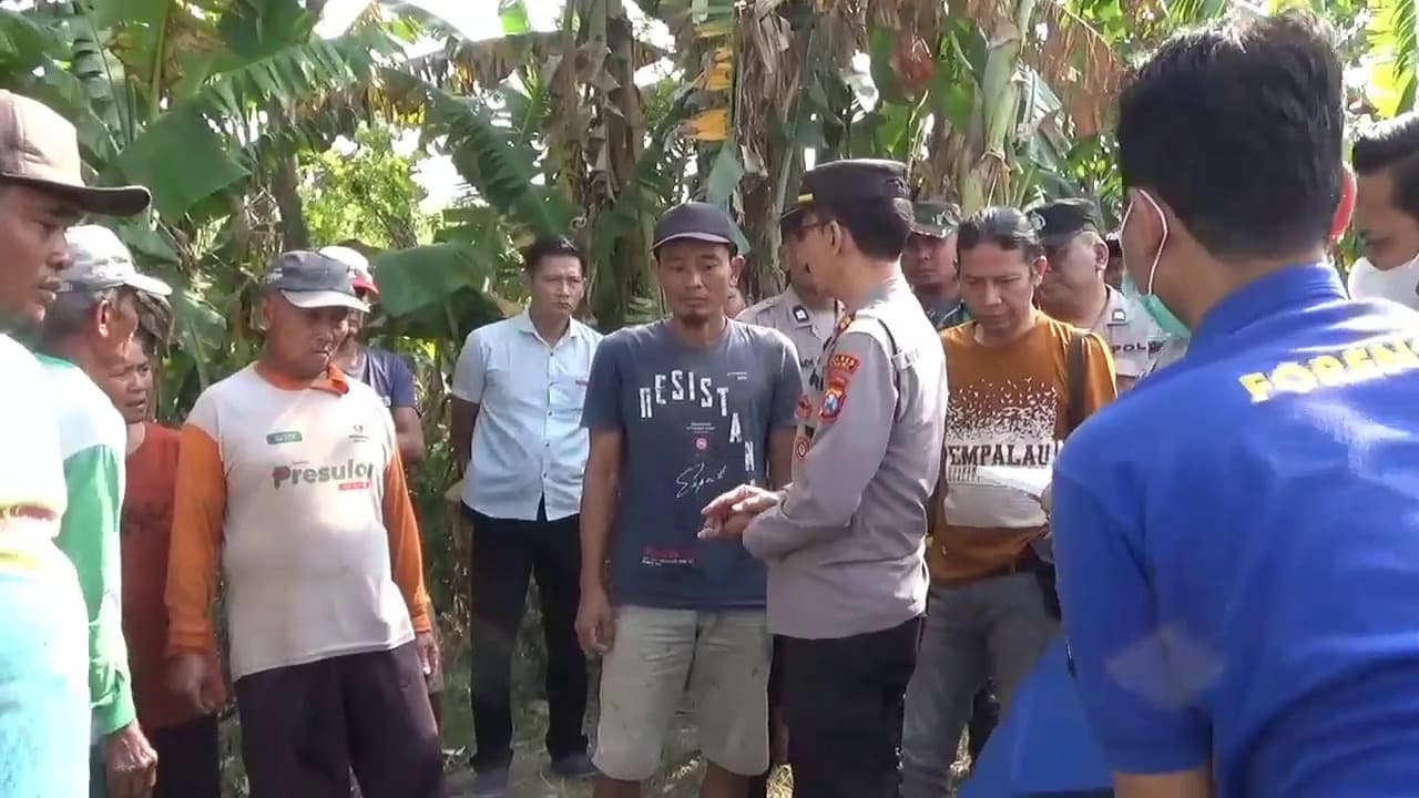 Pencari Rumput Ditemukan Meninggal di Parit Persawahan Geneng, Diduga Korban Kecelakaan Tunggal