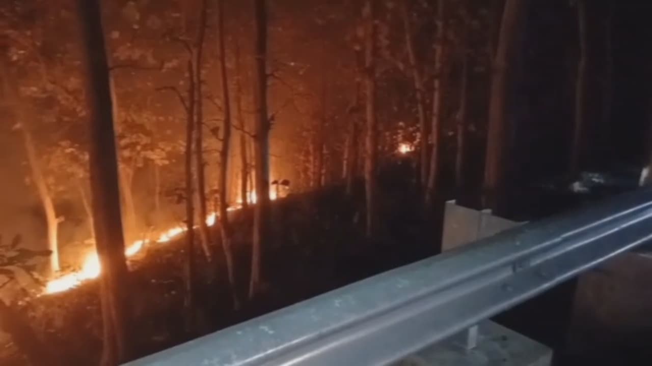 Api Lalap 4 Hektare Hutan Arak-Arak