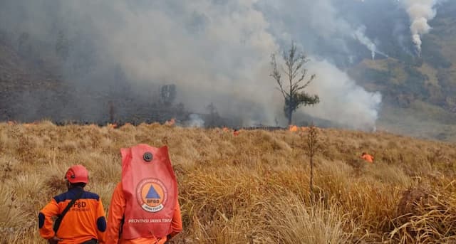 Petugas Gabungan Padamkan Api Secara Manual Karhutla di Kaldera Bromo