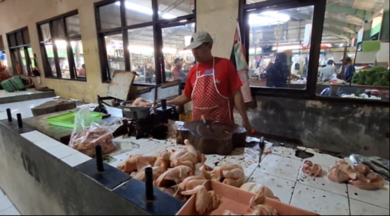 Imbas MBG, Harga Daging Ayam di Kota Kediri Melambung hingga Rp 34 Ribu per Kilogram