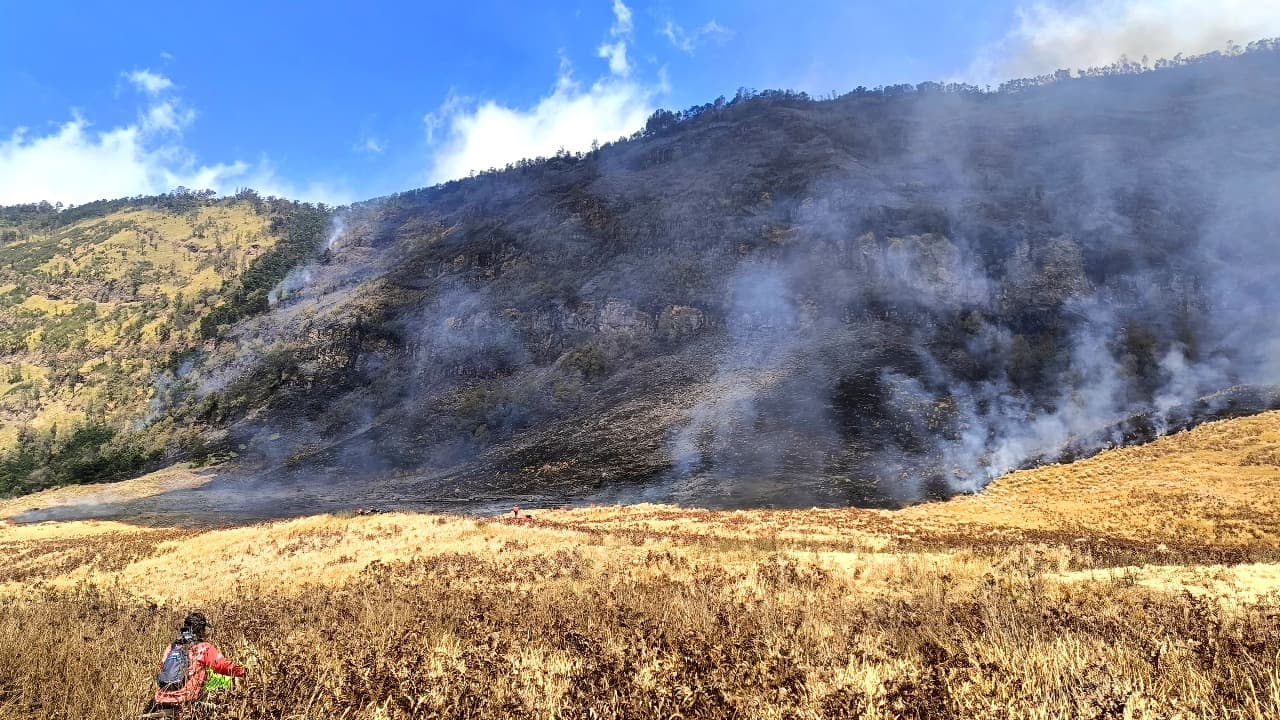 Kebakaran Hutan dan Lahan di Bromo Capai 50 Hektar