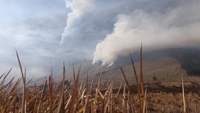 Kebakaran Bromo Meluas hingga Bukit B-29, Lebih dari 86 Hektare Lahan Terbakar