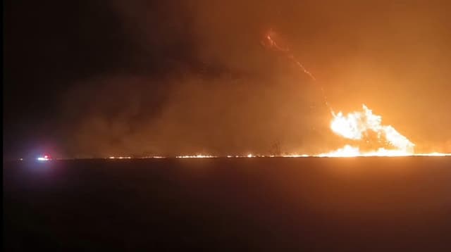 Padang Savana Terbakar Hebat, Semua Pintu Masuk ke Wisata Bromo Ditutup Total