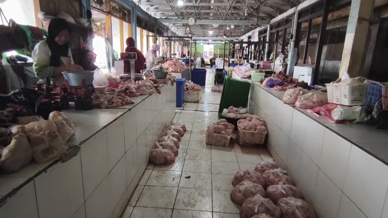 Harga Daging Ayam Naik, Pedagang Keluhkan Keuntungan Menipis