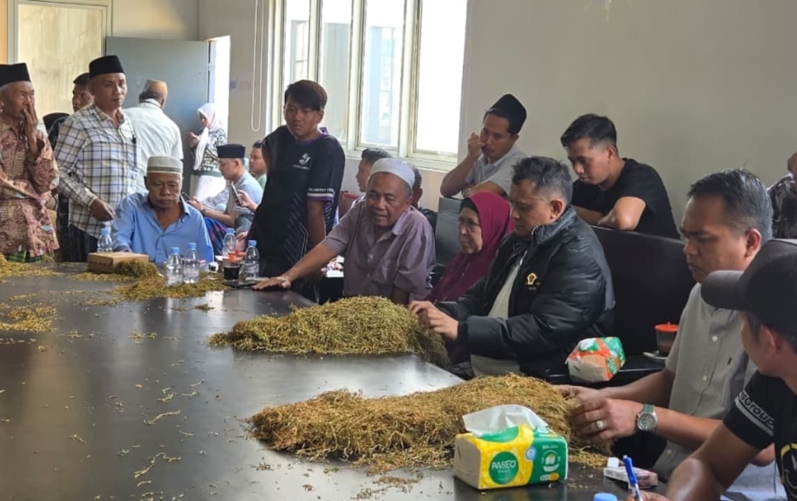 H. Her Mulai Membeli Tembakau Milik Petani, Ini Harganya