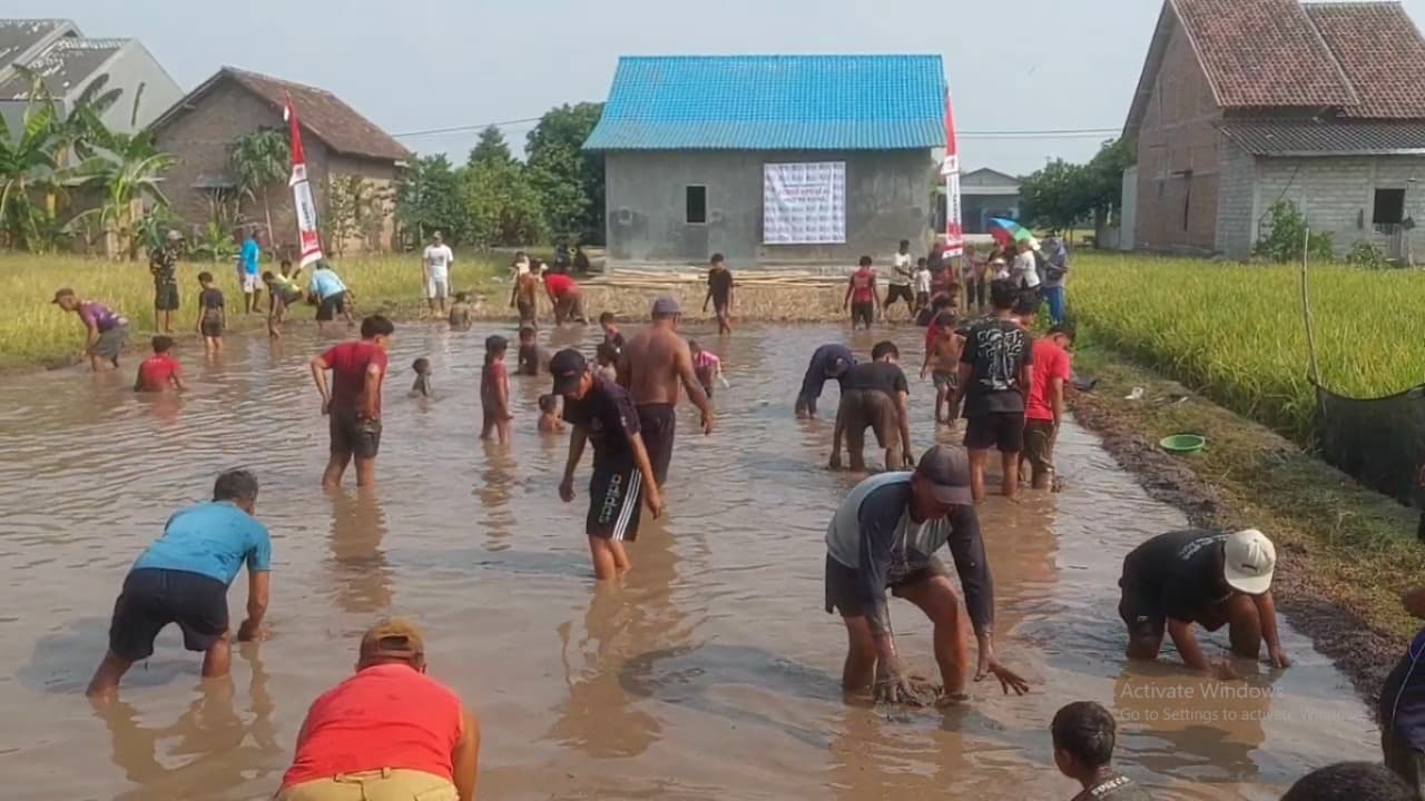 Tangkap Lele di Sawah Berlumpur, Cara Seru Warga Rayakan Kemerdekaan