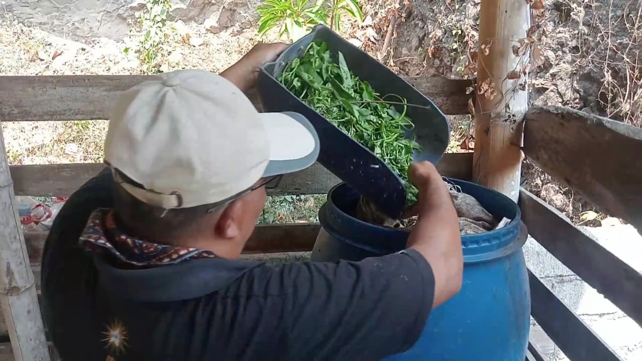 Ubah Limbah Rumah Tangga Jadi Pupuk, Warga Tulungagung Tekan Biaya Tanam