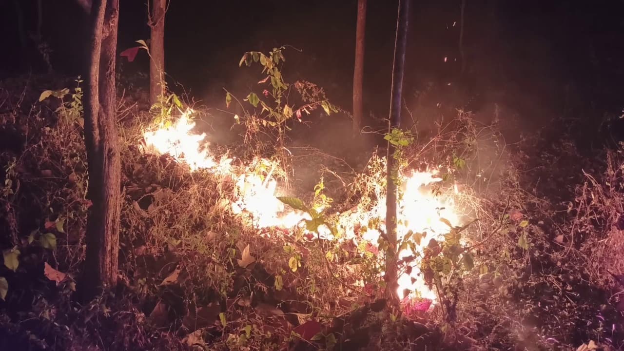 Hutan Gunung Bancak Terbakar, Warga Khawatir Api Merembet ke Permukiman