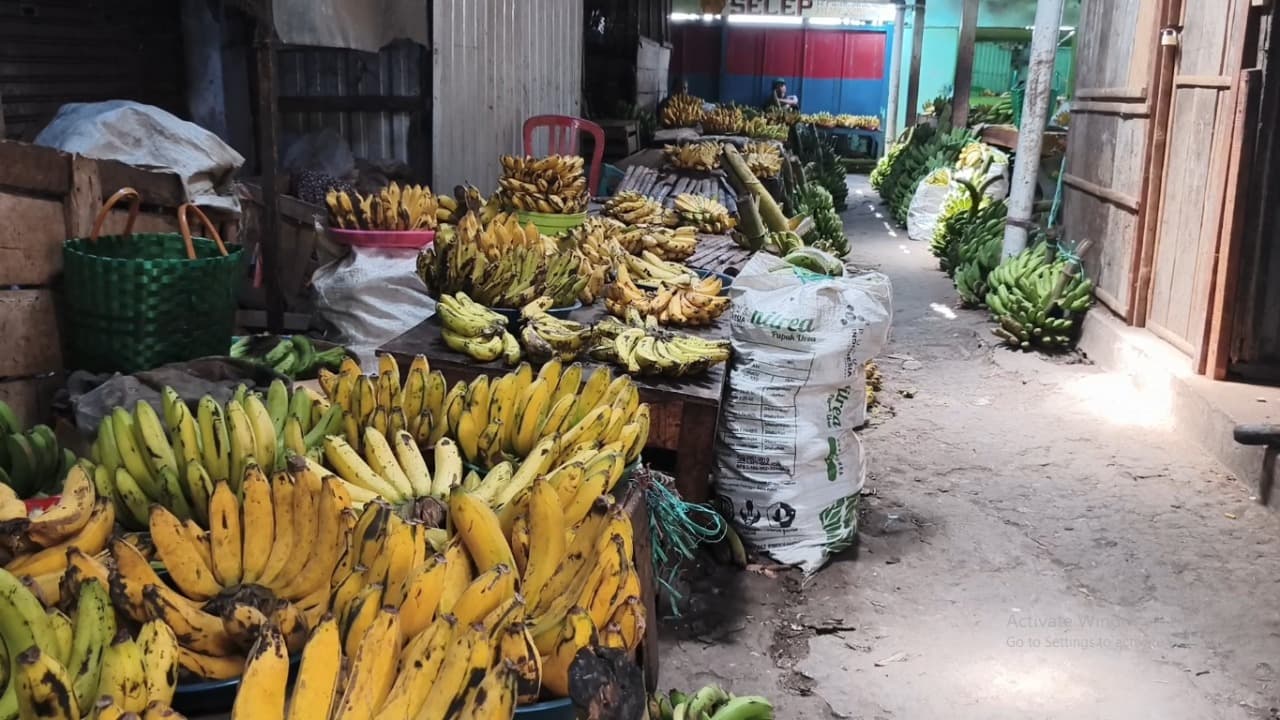 Diburu untuk Tradisi Maulid Nabi, Pisang Raja Tembus Rp125 Ribu per Sisir