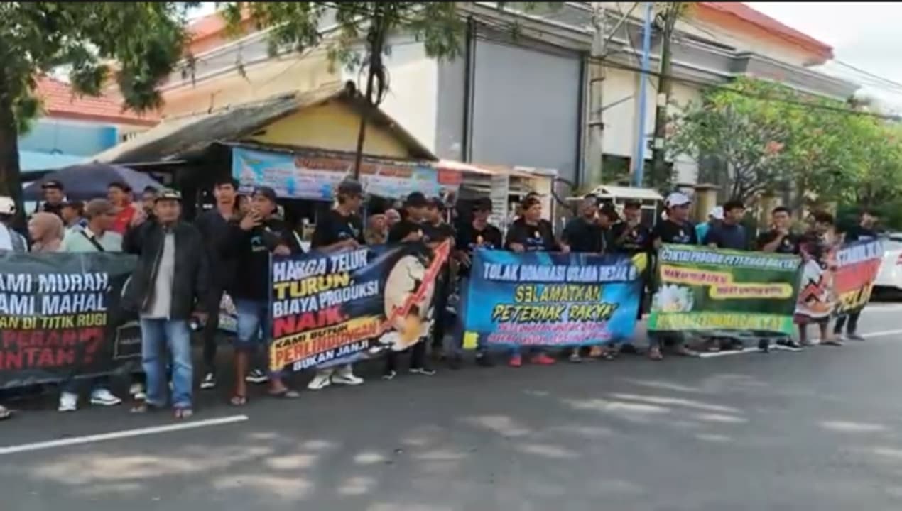 Harga Telur di Bawah BEP, Peternak Ayam Magetan Minta Kebijakan Pemerintah Pusat