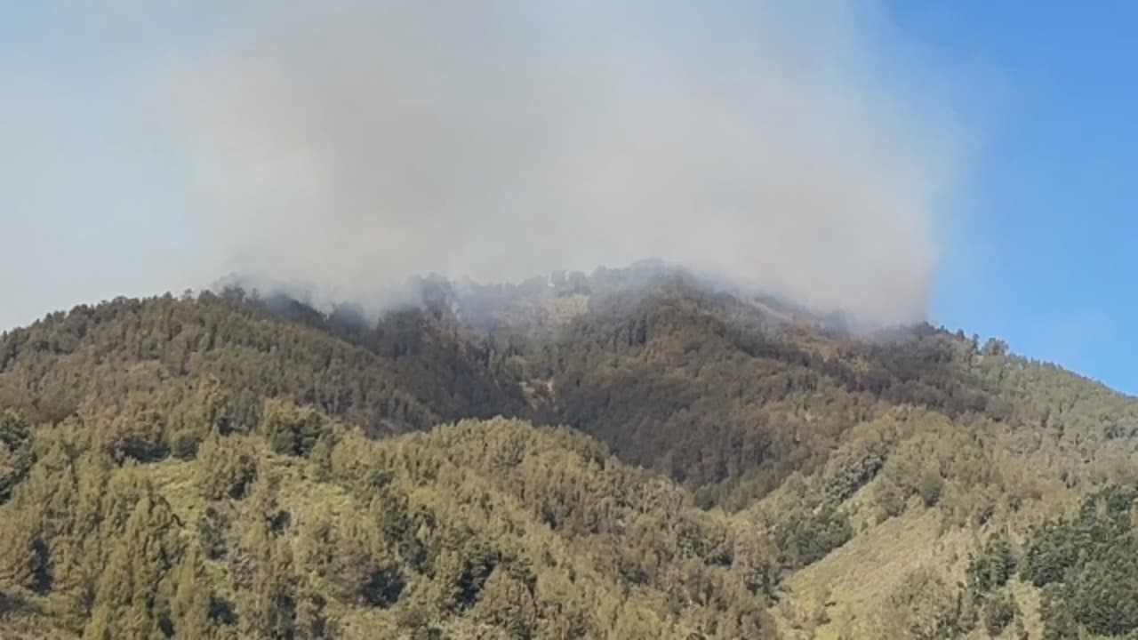 Karhutla Semeru Meluas, 160 Hektare Terbakar