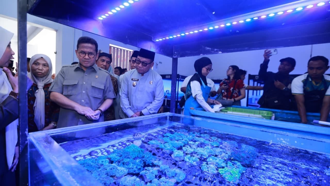 Mendag RI Budi Santoso Lepas Ekspor Koral Hias Hidup ke Amerika Senilai 2.500 USD