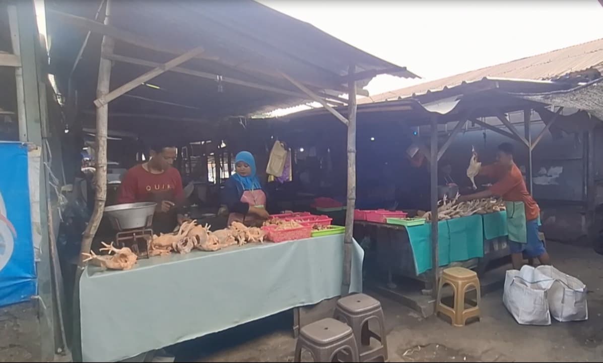 Harga Daging Ayam di Kediri Melonjak Rp 42 Ribu, Omzet Pedagang Merosot 20 Persen