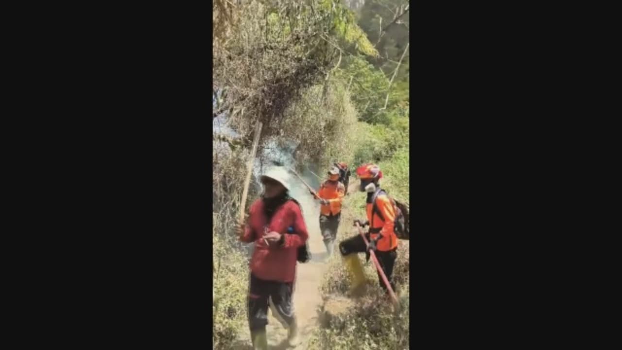 Kebakaran Semeru Capai 600 Ha, Api Sulit Di Kendalikan