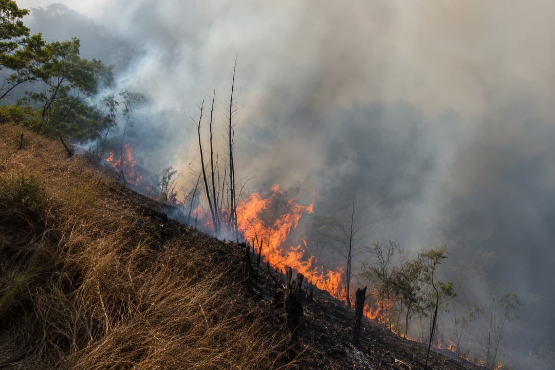 Masih Ada Dua Titik Api, Kebakaran Hutan Gunung Semeru Masih Berlangsung