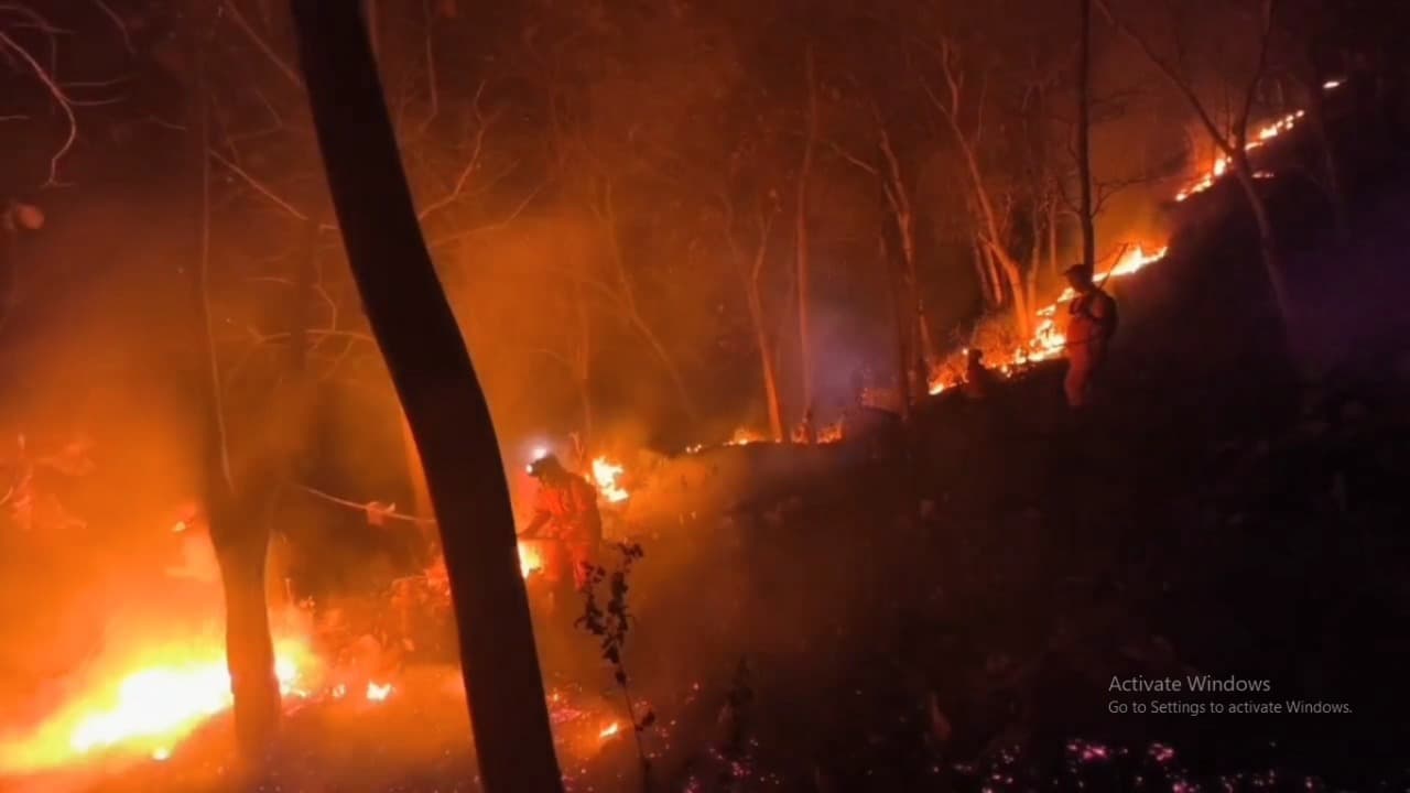 60 Hektare Hutan dan Lahan di 8 Kecamatan Ponorogo Terbakar