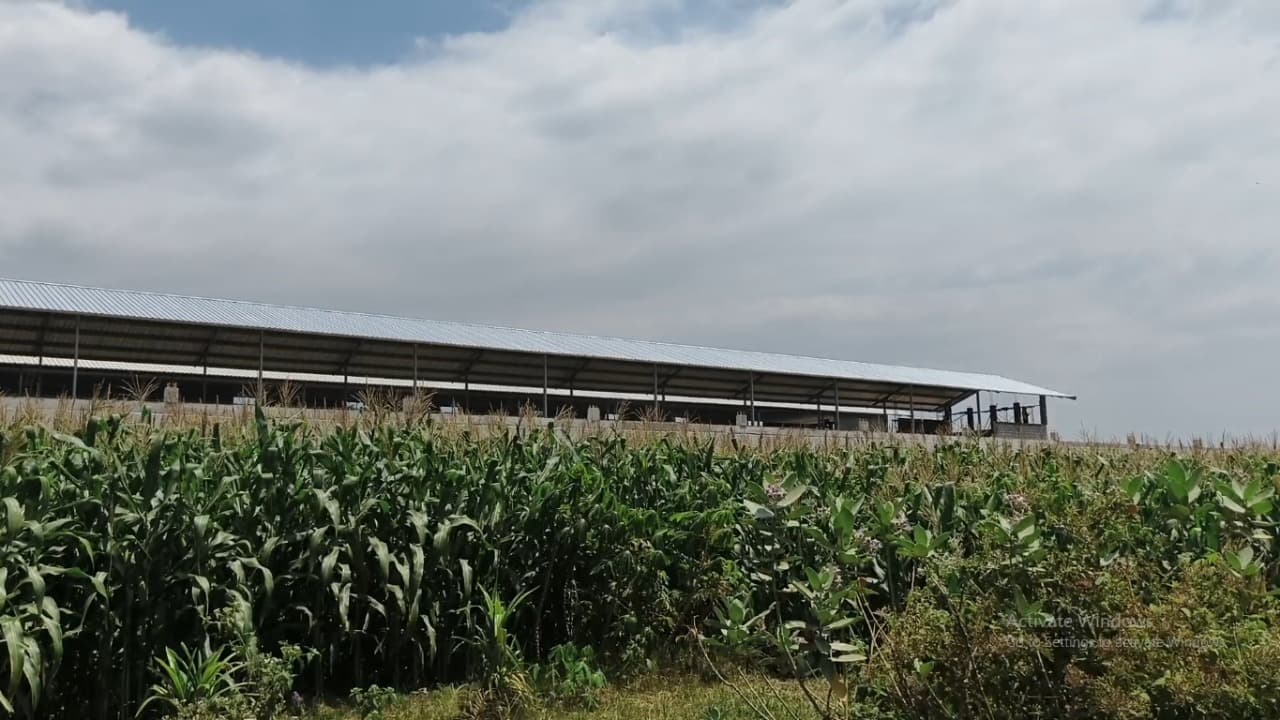 DPRD Magetan Sorot Kandang Ayam di Atas Lahan Sawah Dilindungi