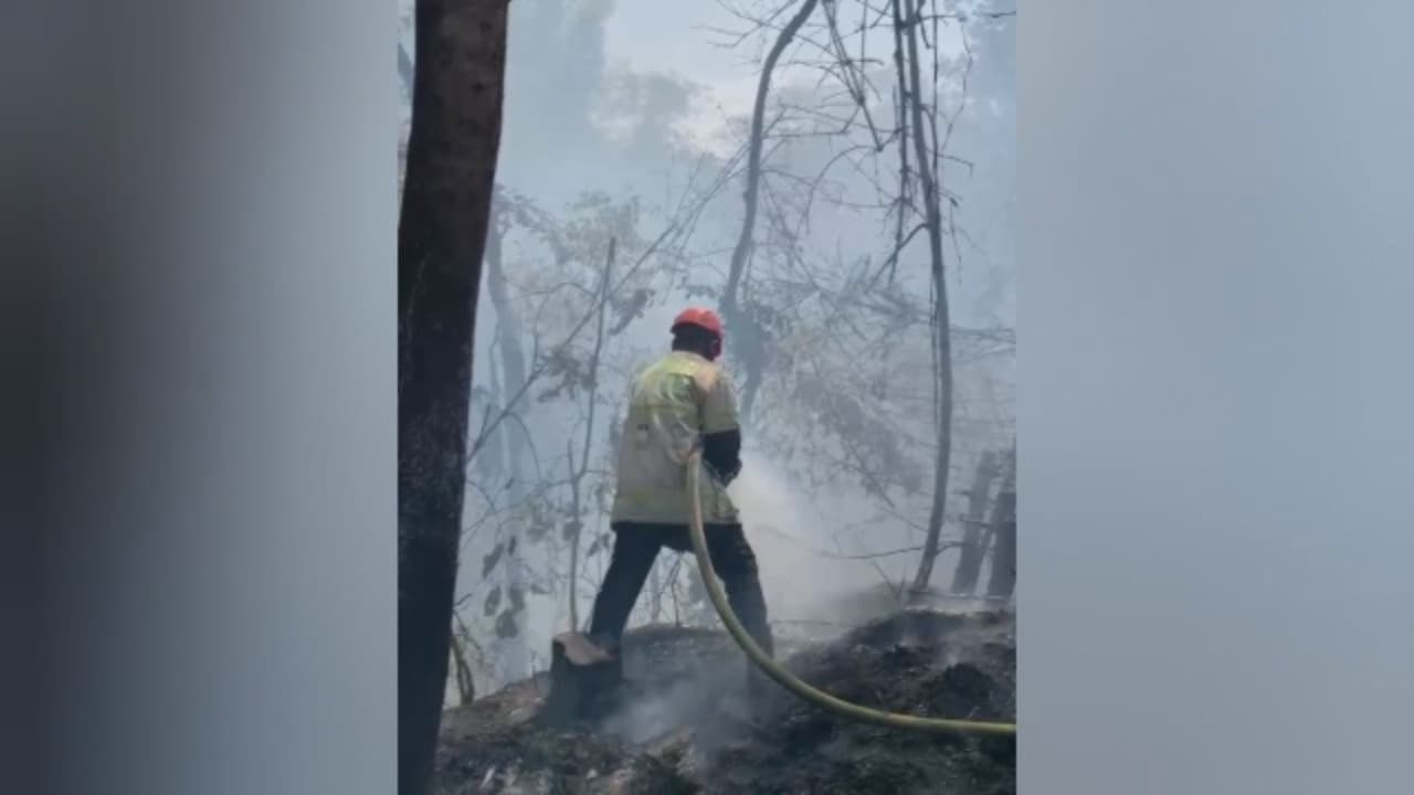 Kebakaran Melonjak, Damkar Larang Bakar Sampah
