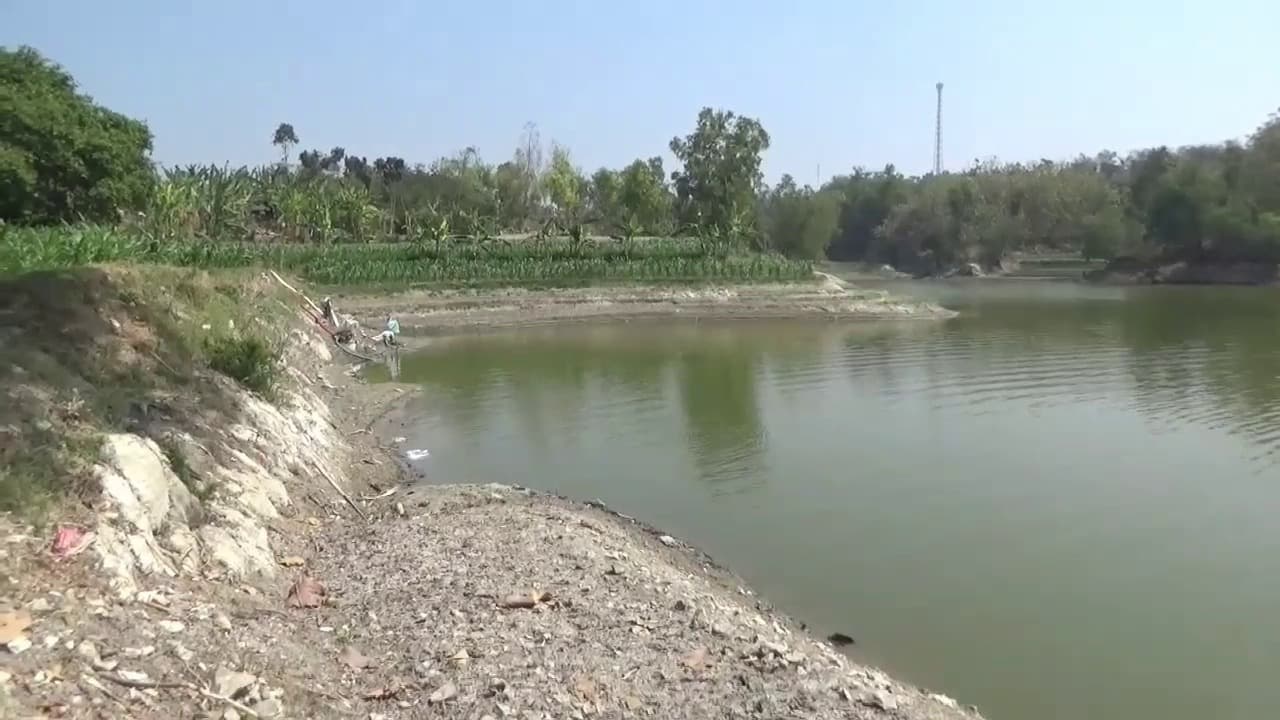 Pertanian Pasang Surut Turut Sumbang Penambahan Lahan Tanam