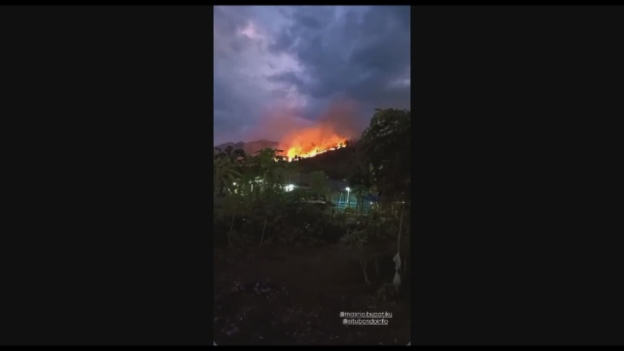 Kebakaran Hutan Hanguskan 4 Ha Di Banyuglugur