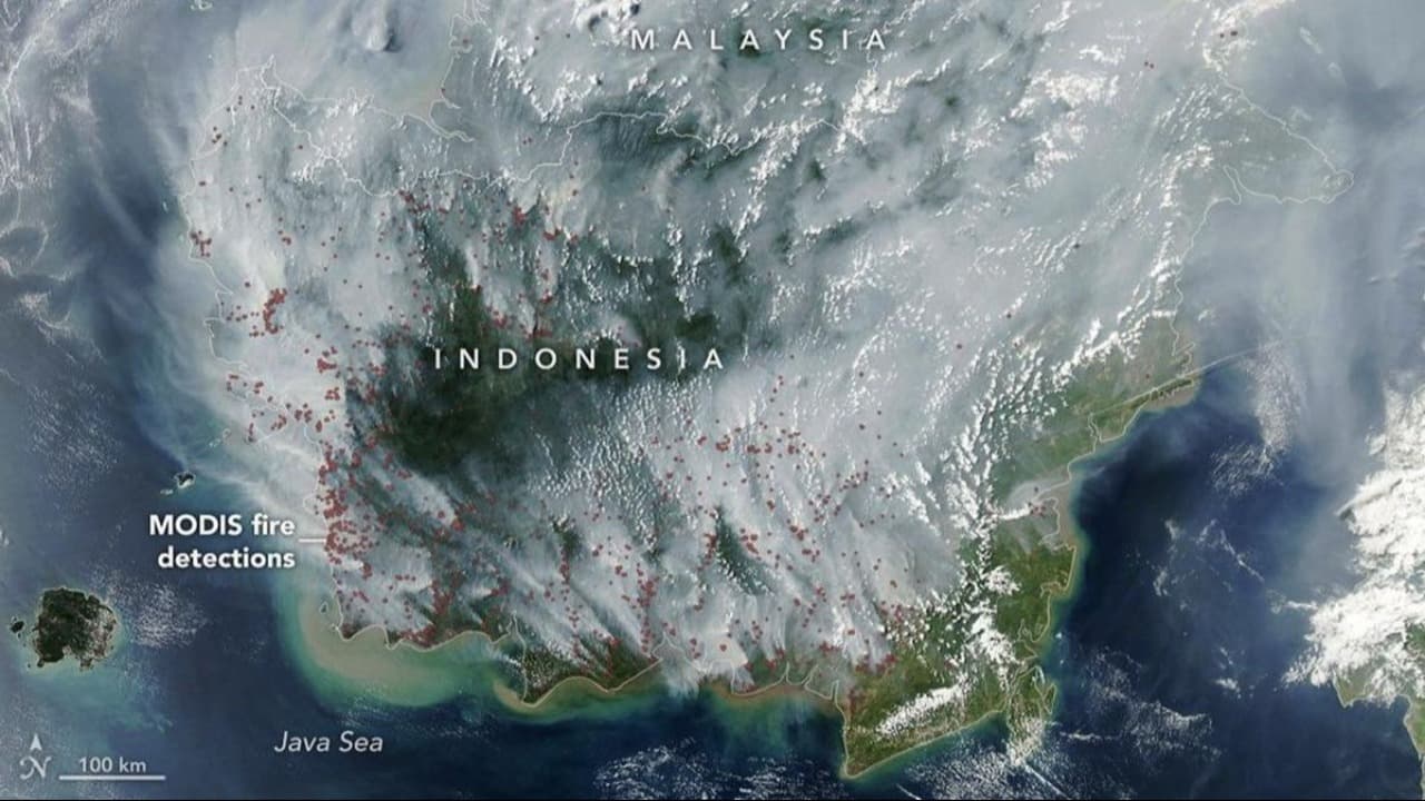 Satelit NASA Tangkap Karhutla Kalimantan, Kabut Asap Meluas hingga Negara Tetangga