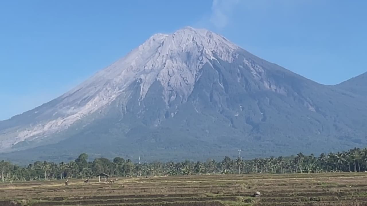 Semeru Erupsi, Abu 1.000 Meter Membumbung
