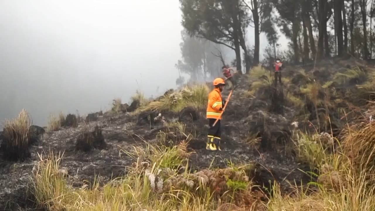 Kebakaran Mulai Terkendali, Wisata Bromo Masih Ditutup