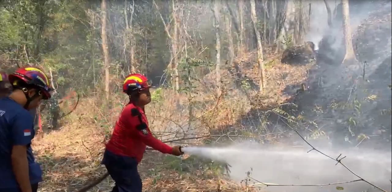 Lima Hektar Hutan Gunung Budheg Terbakar, Api Dikendalikan 2,5 Jam